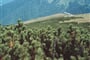 Slovensko - M - Fatra