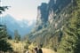 Tatry 9