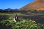 Kanárské ostrovy - Lanzarote, Fuerteventura (Graziosa)