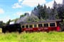 Německo - Pohoří Harz - malebná příroda i romantická městečka
