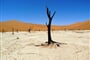 Namibie - vzpomínky na Afriku